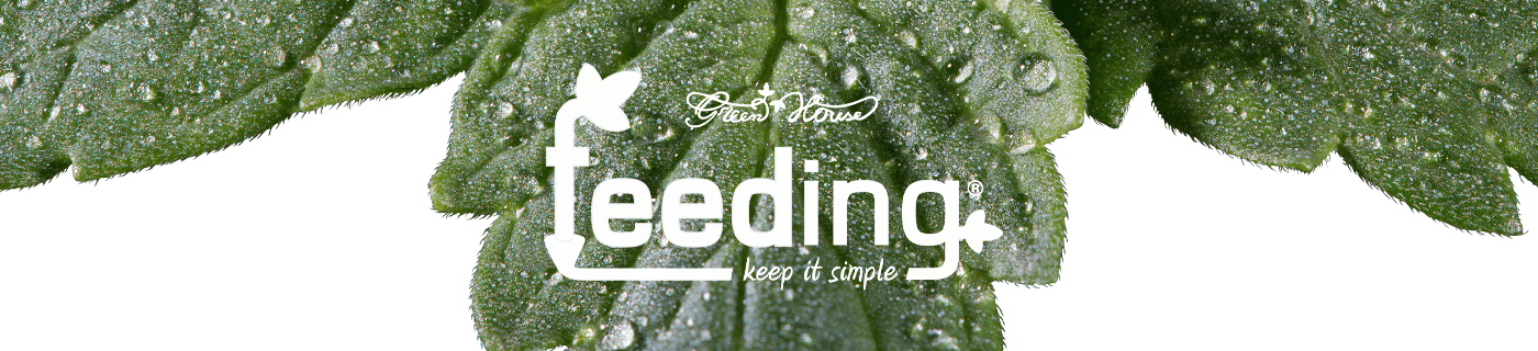 Green House Feeding