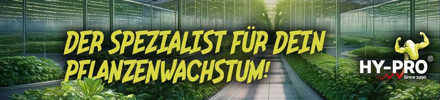 Titelbild