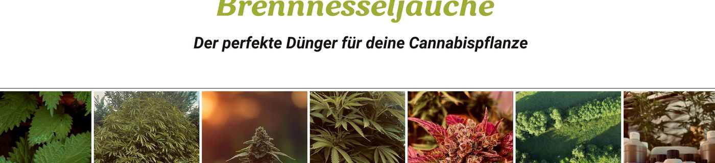 Titelbild