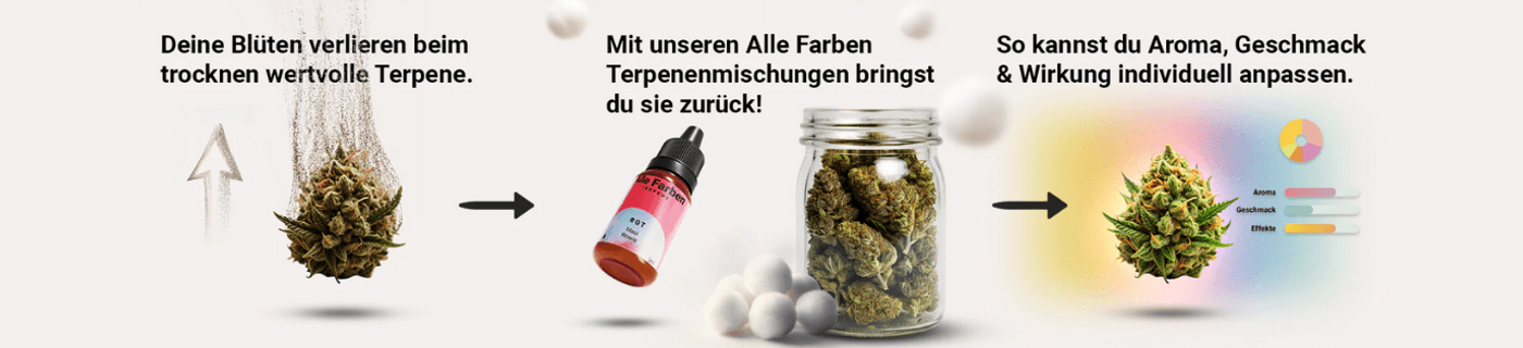 Titelbild