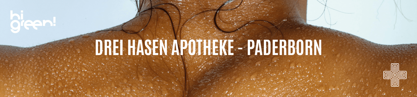 Titelbild
