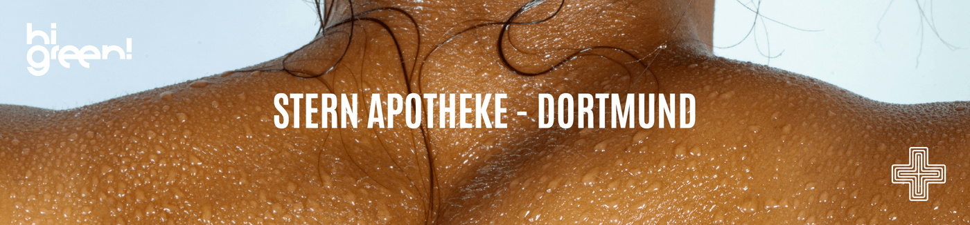 Titelbild