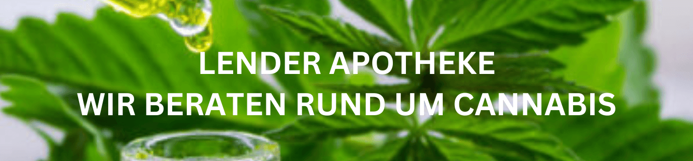 Titelbild
