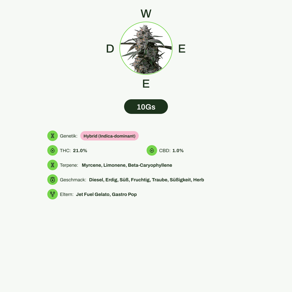 Infografik über THC-Gehalt, CBD-Gehalt, Terpene, Wirkungen, Geschmack von 10Gs