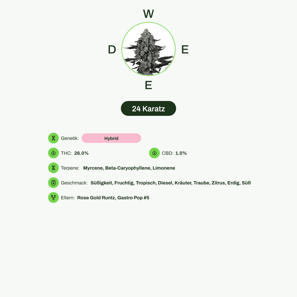 Infografik über THC-Gehalt, CBD-Gehalt, Terpene, Wirkungen, Geschmack von 24 Karatz