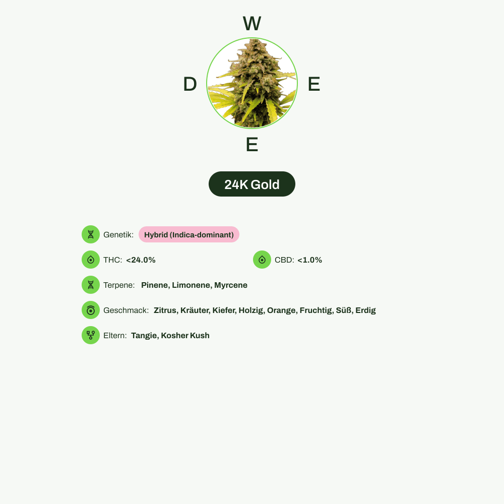 Infografik über THC-Gehalt, CBD-Gehalt, Terpene, Wirkungen, Geschmack von 24K Gold