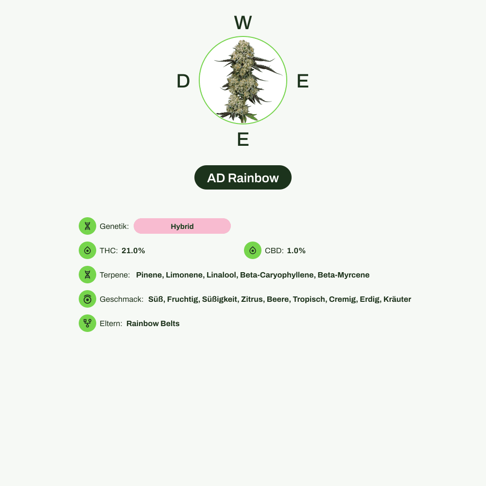 Infografik über THC-Gehalt, CBD-Gehalt, Terpene, Wirkungen, Geschmack von AD Rainbow