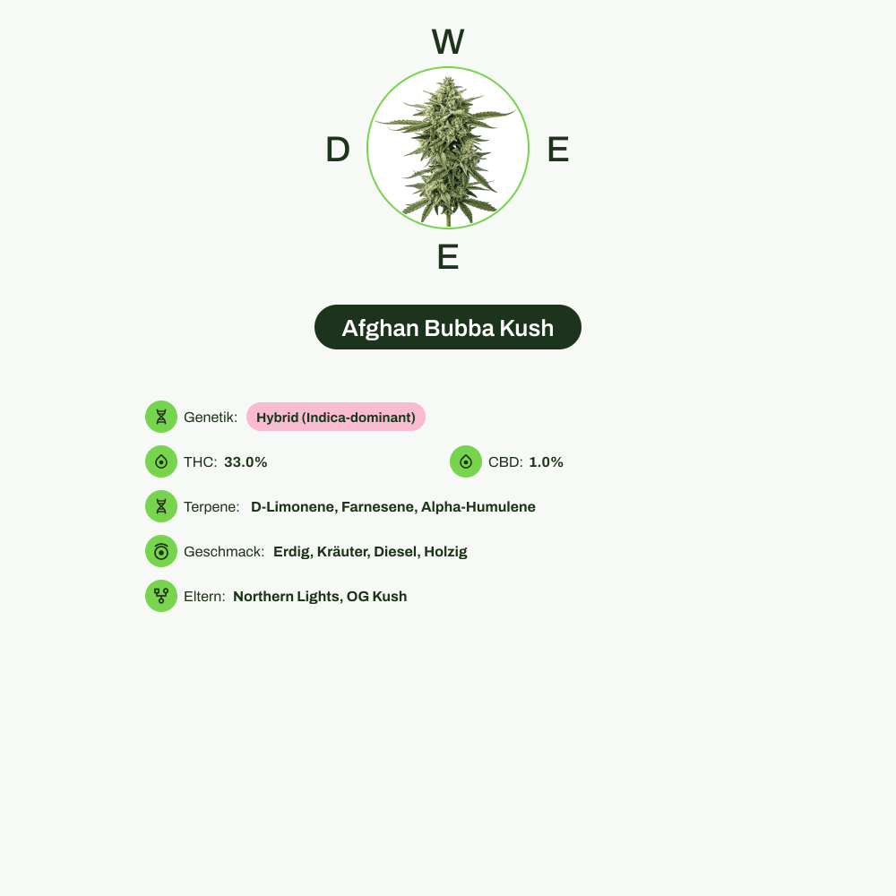 Infografik über THC-Gehalt, CBD-Gehalt, Terpene, Wirkungen, Geschmack von Afghan Bubba Kush