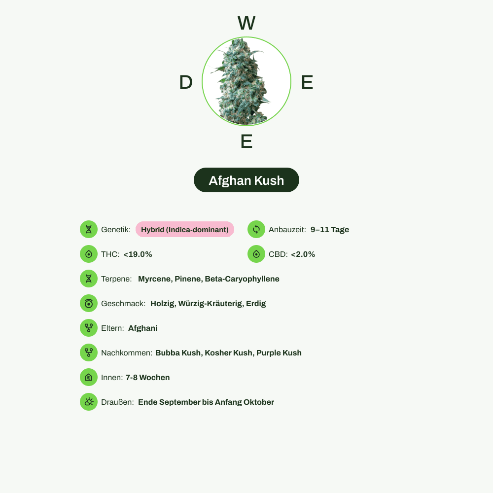Infografik über THC-Gehalt, CBD-Gehalt, Terpene, Wirkungen, Geschmack von Afghan Kush