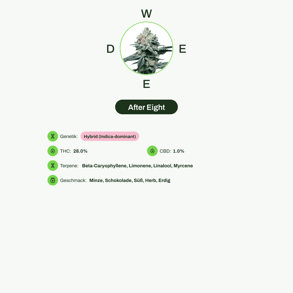Infografik über THC-Gehalt, CBD-Gehalt, Terpene, Wirkungen, Geschmack von After Eight