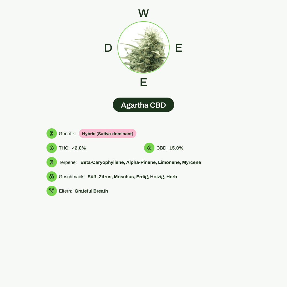 Infografik über THC-Gehalt, CBD-Gehalt, Terpene, Wirkungen, Geschmack von Agartha CBD
