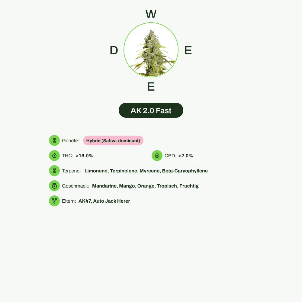 Infografik über THC-Gehalt, CBD-Gehalt, Terpene, Wirkungen, Geschmack von AK 2.0 Fast