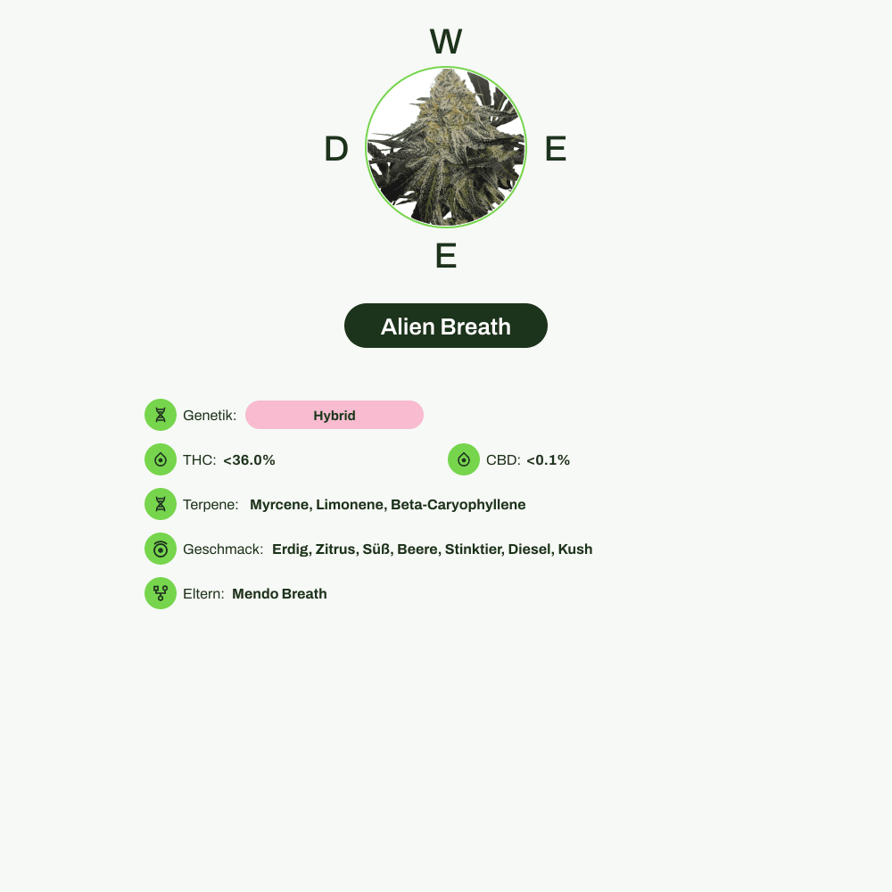 Infografik über THC-Gehalt, CBD-Gehalt, Terpene, Wirkungen, Geschmack von Alien Breath