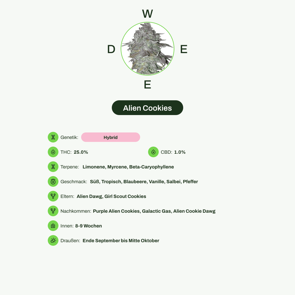 Infografik über THC-Gehalt, CBD-Gehalt, Terpene, Wirkungen, Geschmack von Alien Cookies