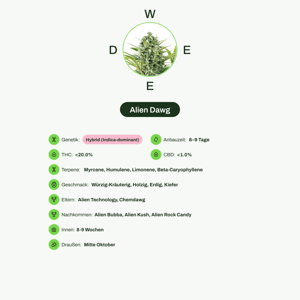 Infografik über THC-Gehalt, CBD-Gehalt, Terpene, Wirkungen, Geschmack von Alien Dawg