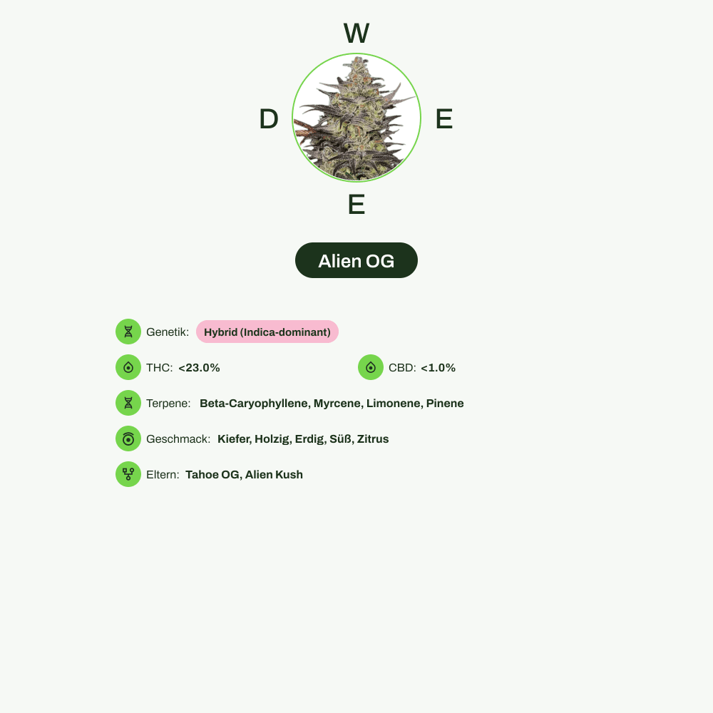 Infografik über THC-Gehalt, CBD-Gehalt, Terpene, Wirkungen, Geschmack von Alien OG