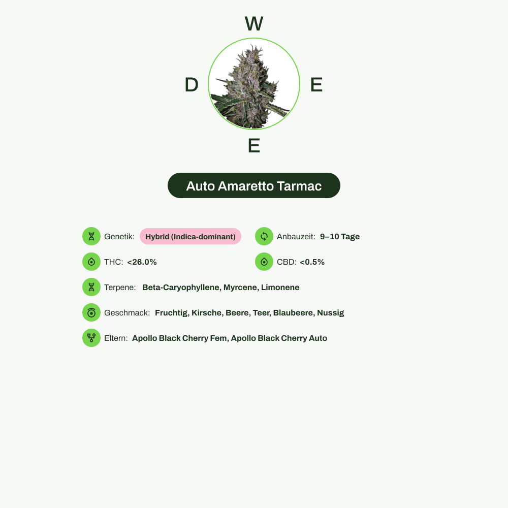 Infografik über THC-Gehalt, CBD-Gehalt, Terpene, Wirkungen, Geschmack von Auto Amaretto Tarmac