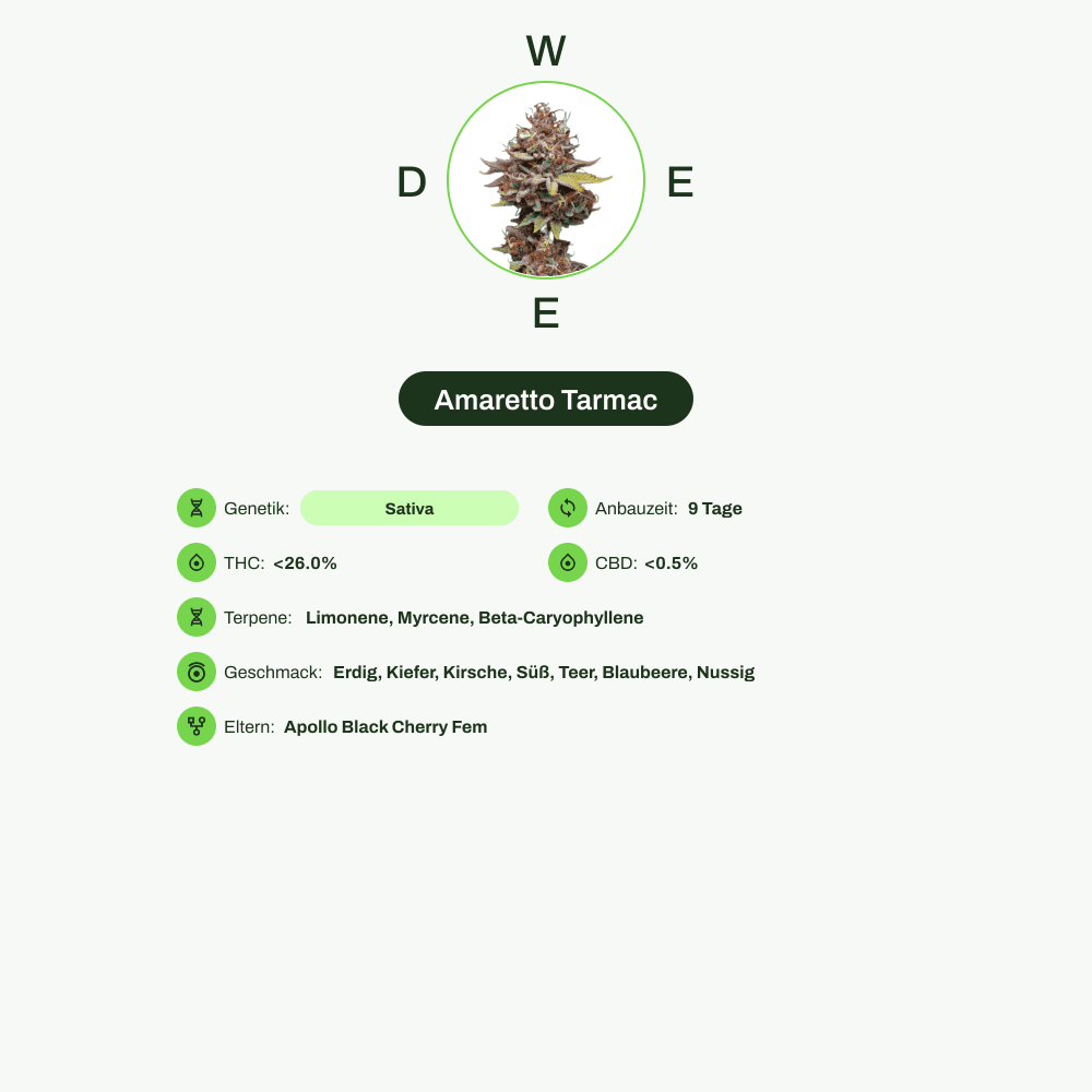 Infografik über THC-Gehalt, CBD-Gehalt, Terpene, Wirkungen, Geschmack von Amaretto Tarmac