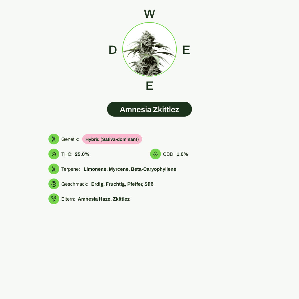 Infografik über THC-Gehalt, CBD-Gehalt, Terpene, Wirkungen, Geschmack von Amnesia Zkittlez