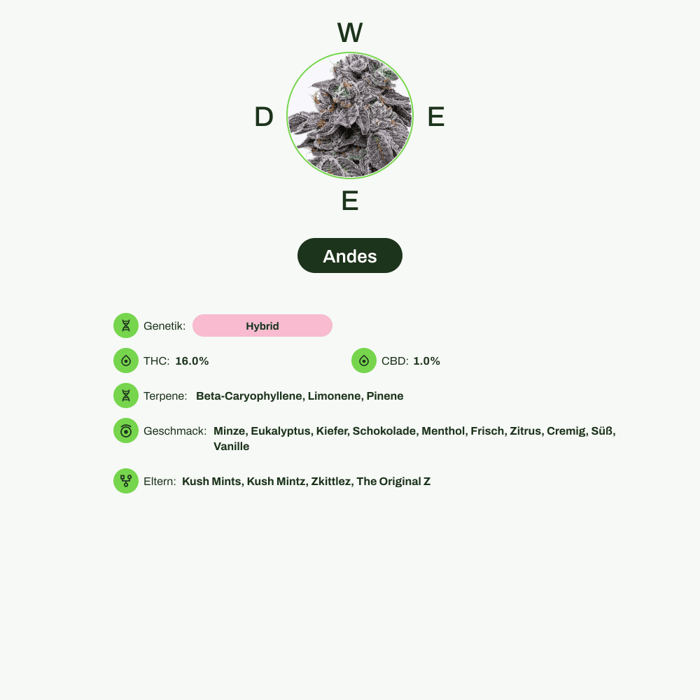 Infografik über THC-Gehalt, CBD-Gehalt, Terpene, Wirkungen, Geschmack von Andes