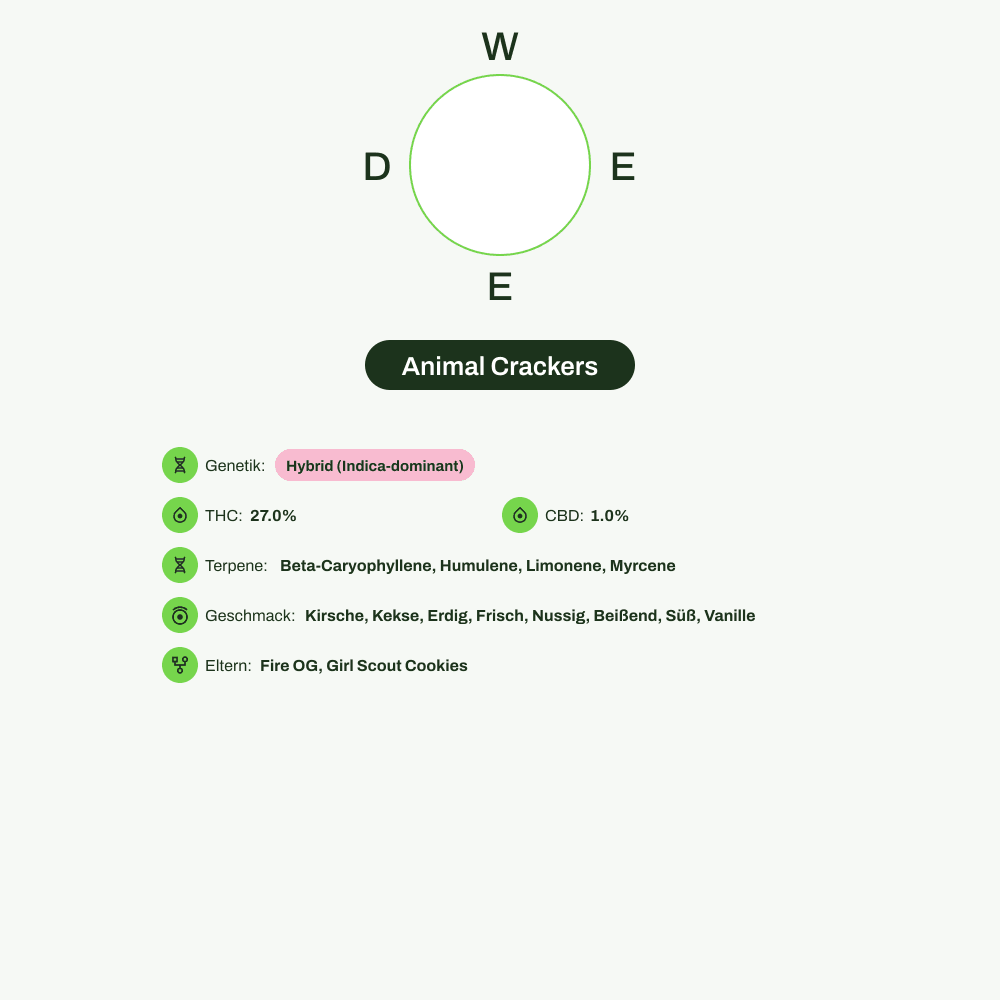 Infografik über THC-Gehalt, CBD-Gehalt, Terpene, Wirkungen, Geschmack von Animal Crackers