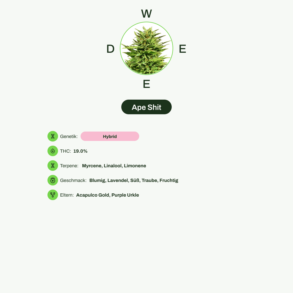 Infografik über THC-Gehalt, CBD-Gehalt, Terpene, Wirkungen, Geschmack von Ape Shit