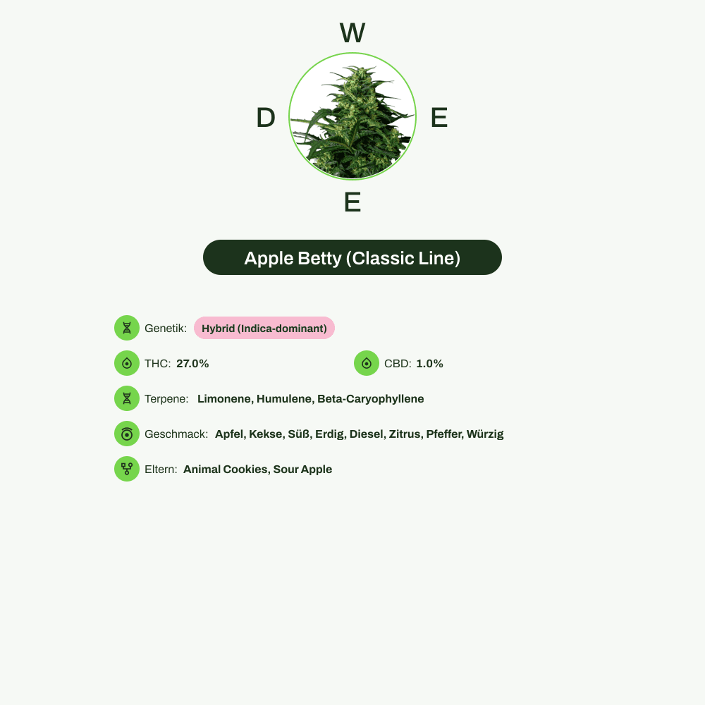 Infografik über THC-Gehalt, CBD-Gehalt, Terpene, Wirkungen, Geschmack von Apple Betty (Classic Line)