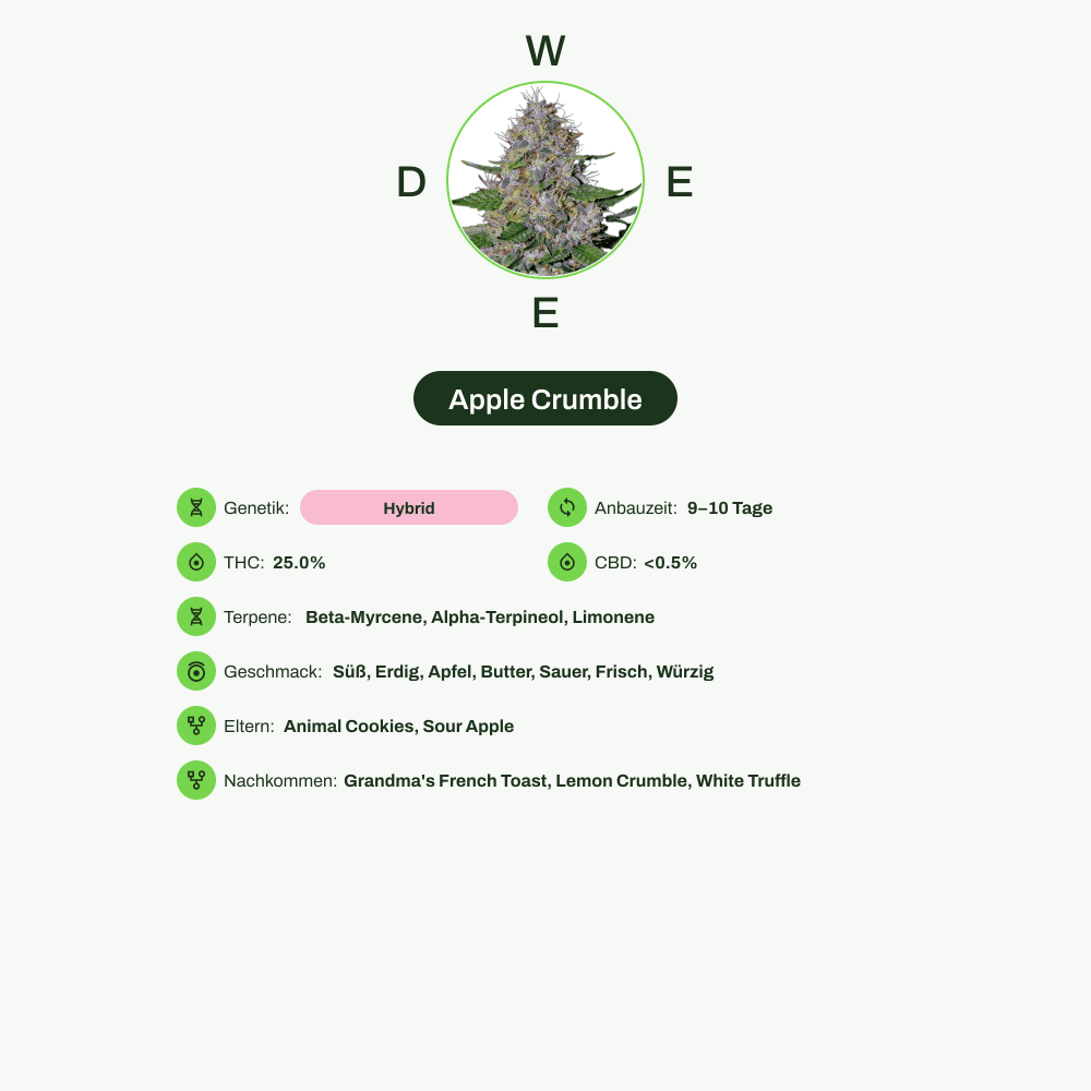Infografik über THC-Gehalt, CBD-Gehalt, Terpene, Wirkungen, Geschmack von Apple Crumble