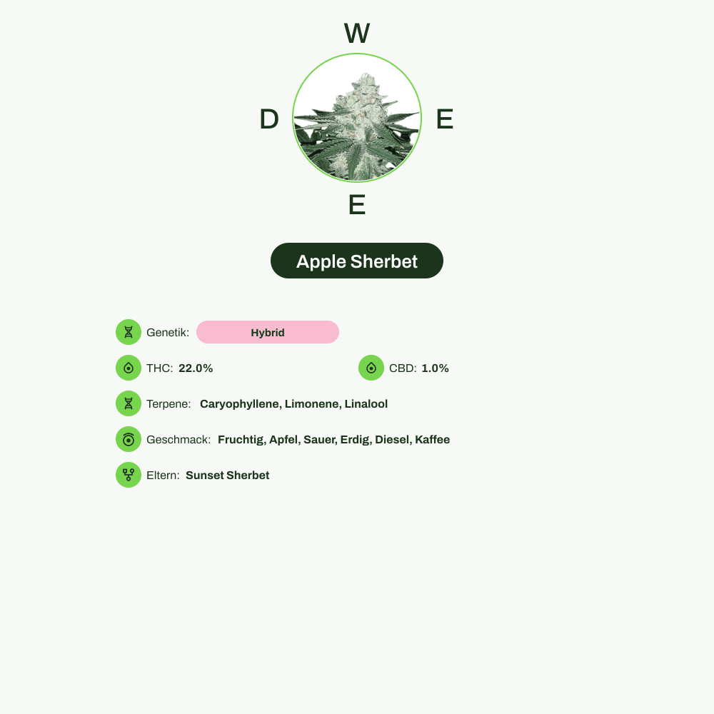 Infografik über THC-Gehalt, CBD-Gehalt, Terpene, Wirkungen, Geschmack von Apple Sherbet