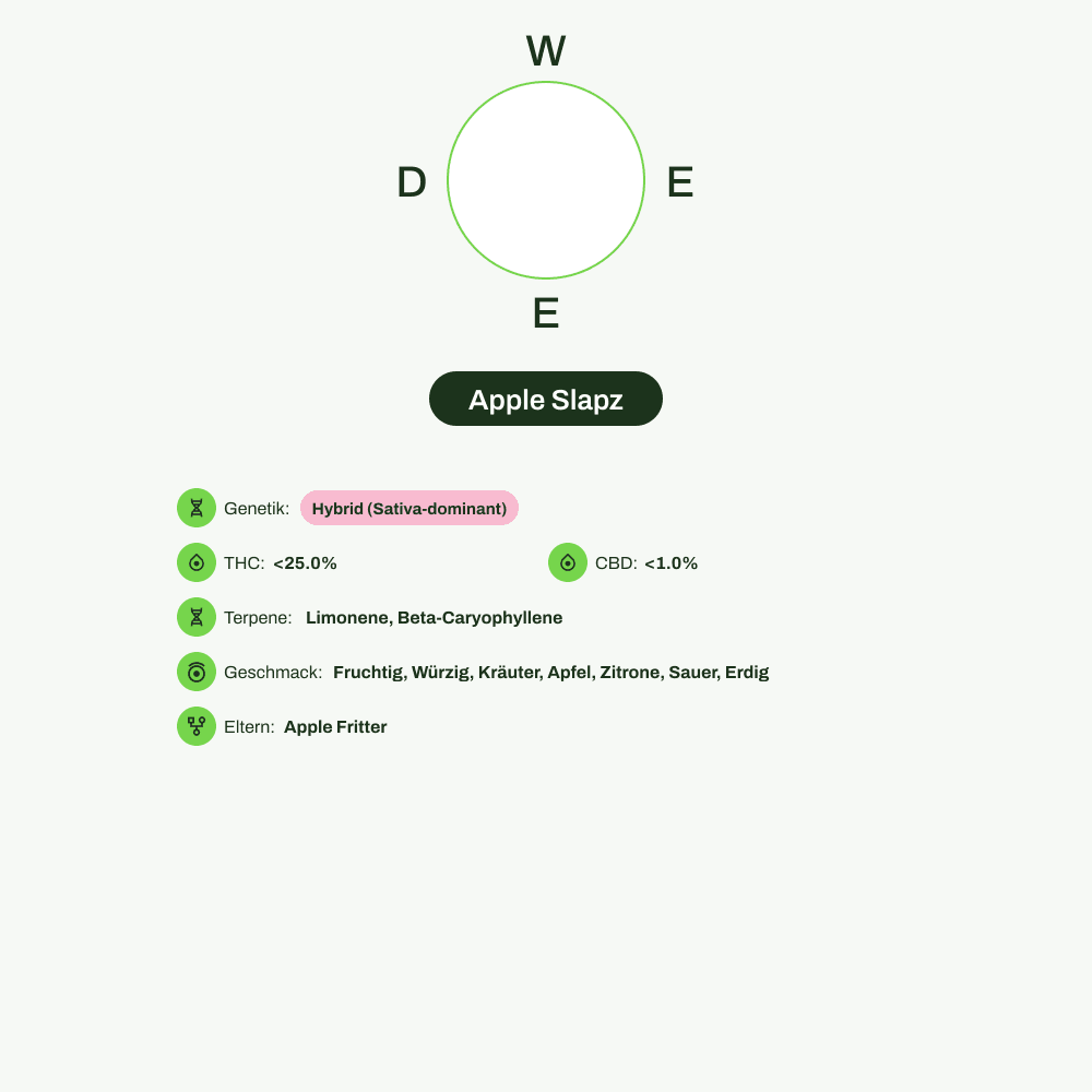 Infografik über THC-Gehalt, CBD-Gehalt, Terpene, Wirkungen, Geschmack von Apple Slapz
