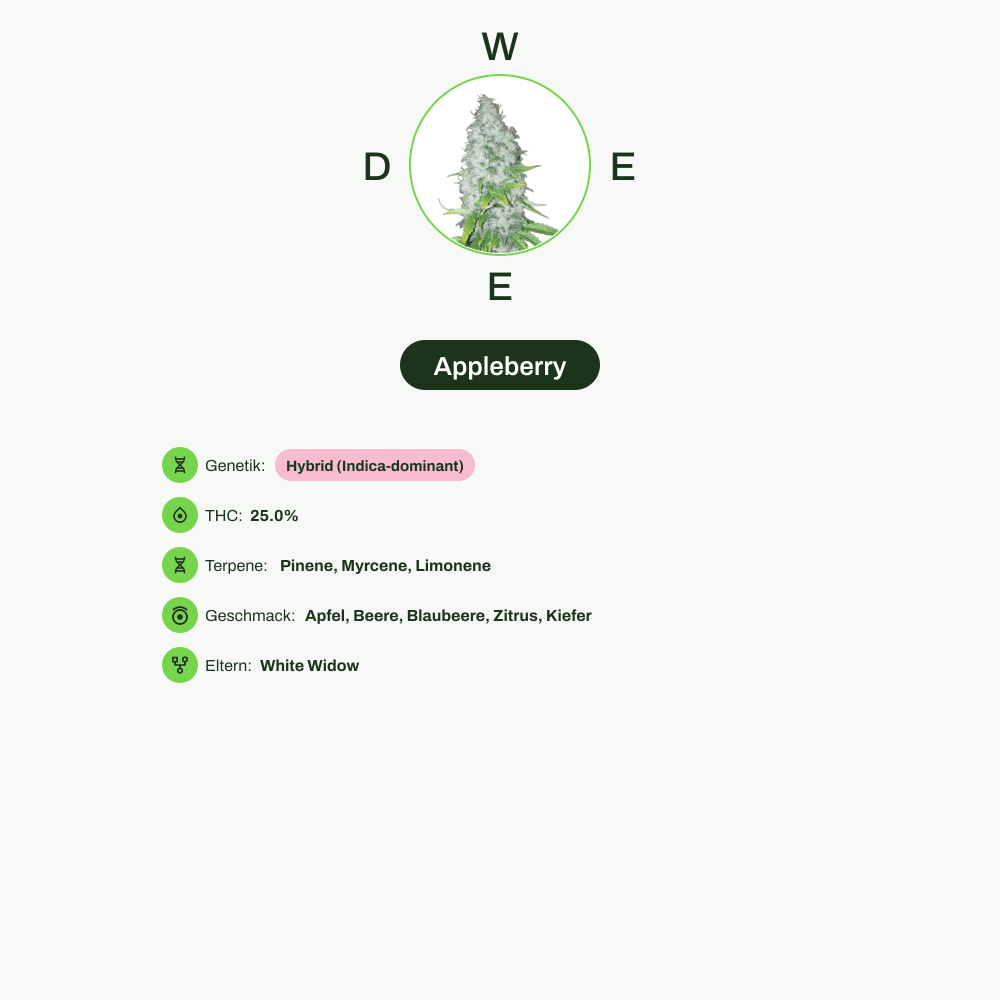 Infografik über THC-Gehalt, CBD-Gehalt, Terpene, Wirkungen, Geschmack von Appleberry