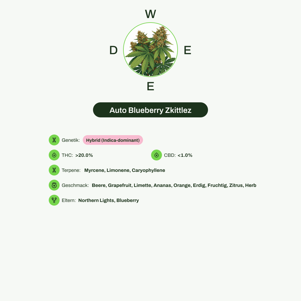 Infografik über THC-Gehalt, CBD-Gehalt, Terpene, Wirkungen, Geschmack von Auto Blueberry Zkittlez
