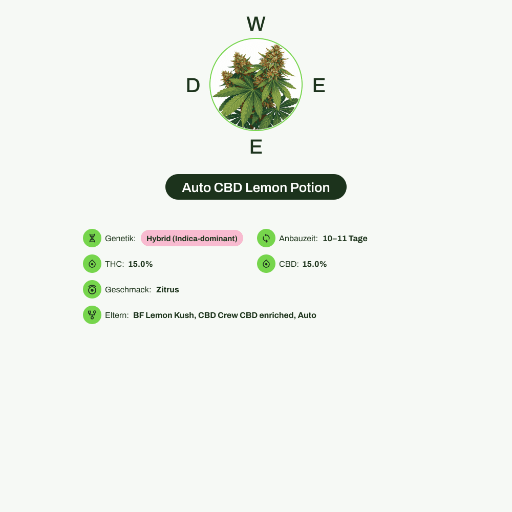 Infografik über THC-Gehalt, CBD-Gehalt, Terpene, Wirkungen, Geschmack von Auto CBD Lemon Potion