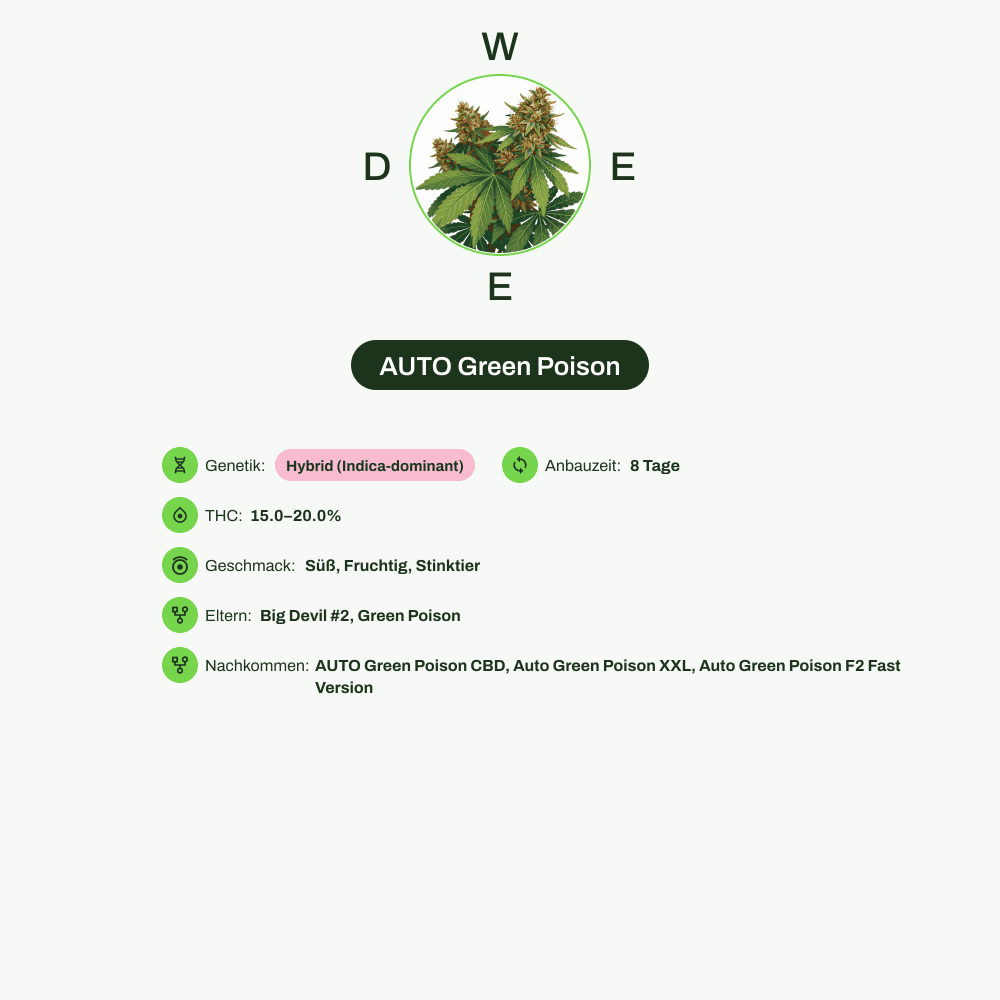 Infografik über THC-Gehalt, CBD-Gehalt, Terpene, Wirkungen, Geschmack von AUTO Green Poison