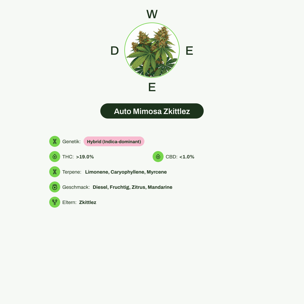 Infografik über THC-Gehalt, CBD-Gehalt, Terpene, Wirkungen, Geschmack von Auto Mimosa Zkittlez