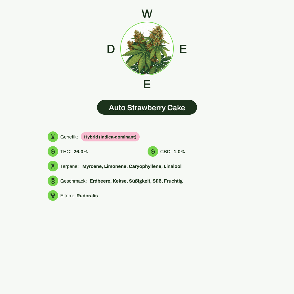 Infografik über THC-Gehalt, CBD-Gehalt, Terpene, Wirkungen, Geschmack von Auto Strawberry Cake