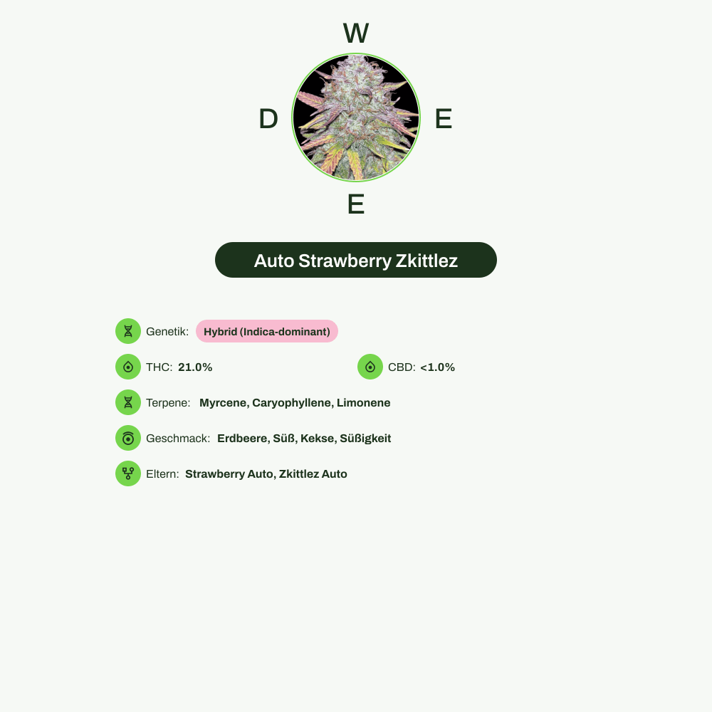 Infografik über THC-Gehalt, CBD-Gehalt, Terpene, Wirkungen, Geschmack von Auto Strawberry Zkittlez