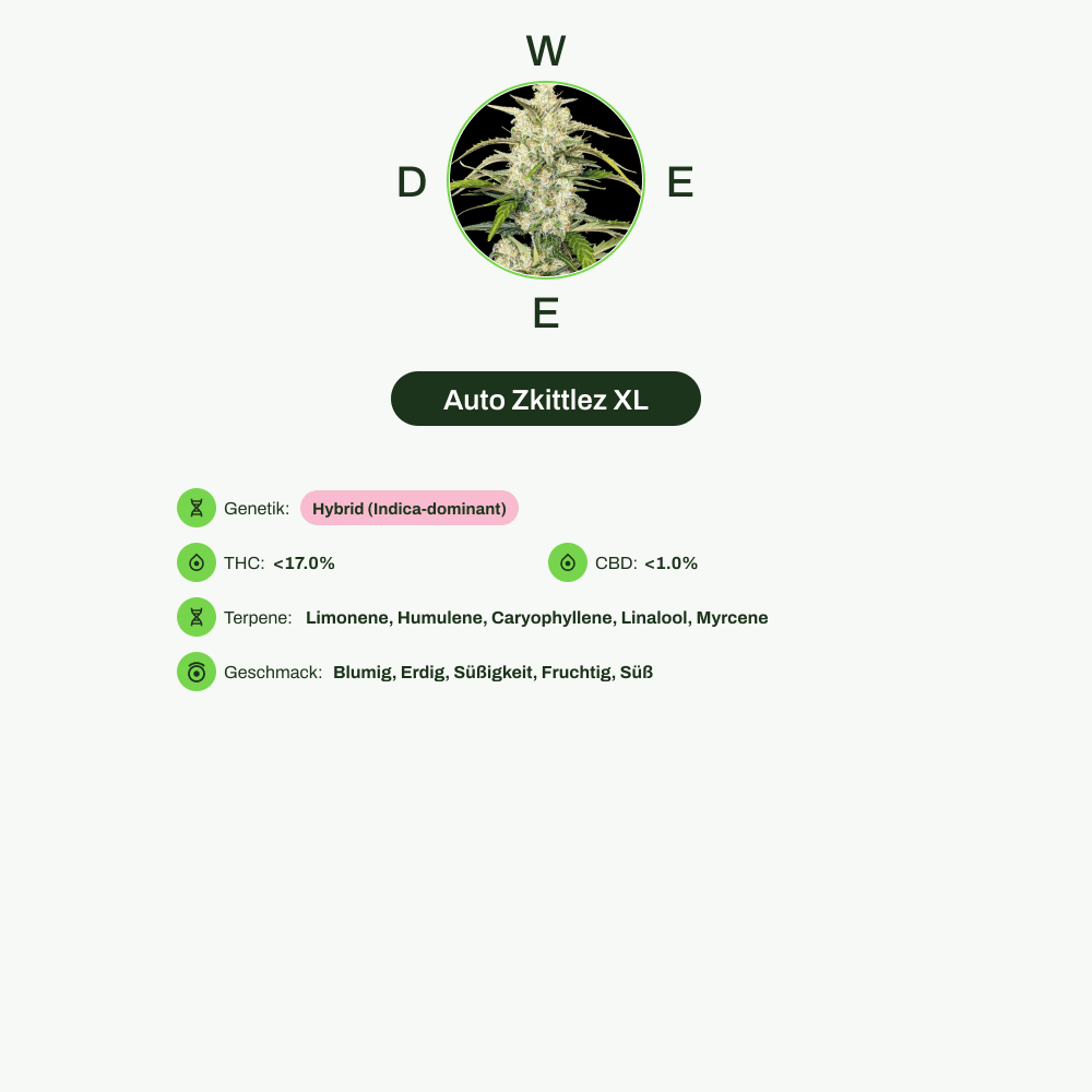 Infografik über THC-Gehalt, CBD-Gehalt, Terpene, Wirkungen, Geschmack von Auto Zkittlez XL