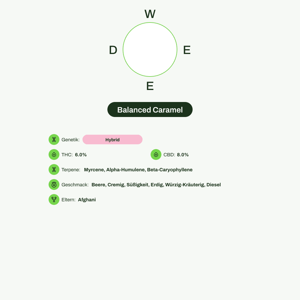 Infografik über THC-Gehalt, CBD-Gehalt, Terpene, Wirkungen, Geschmack von Balanced Caramel