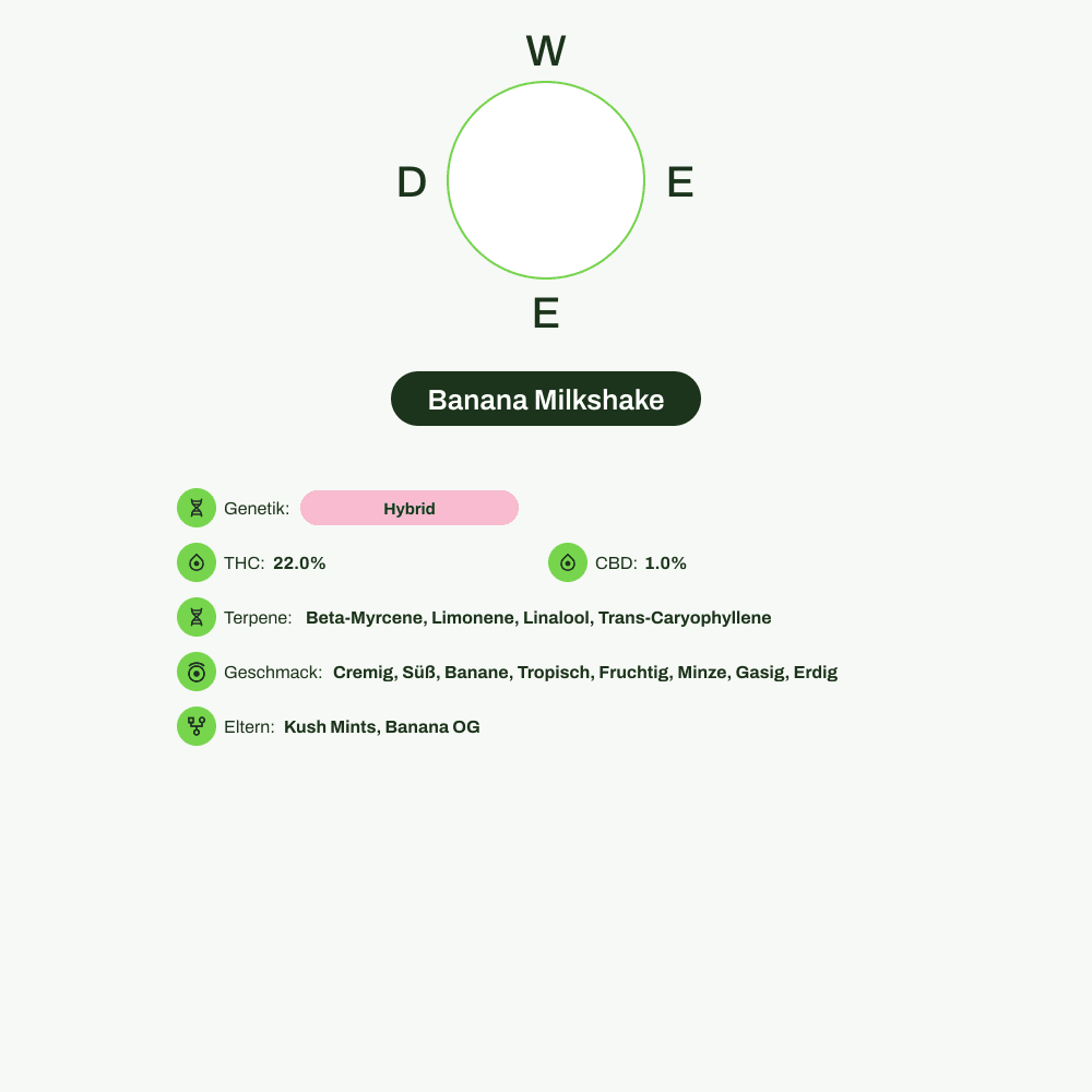 Infografik über THC-Gehalt, CBD-Gehalt, Terpene, Wirkungen, Geschmack von Banana Milkshake