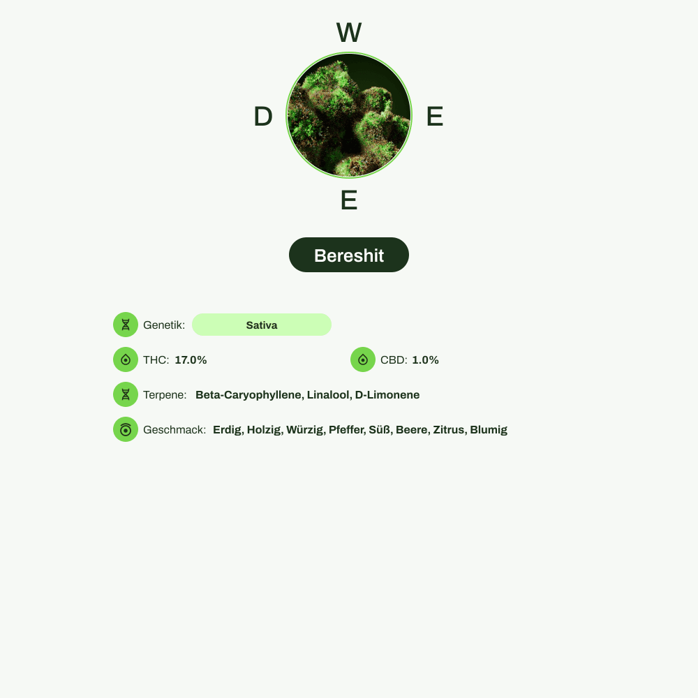 Infografik über THC-Gehalt, CBD-Gehalt, Terpene, Wirkungen, Geschmack von Bereshit
