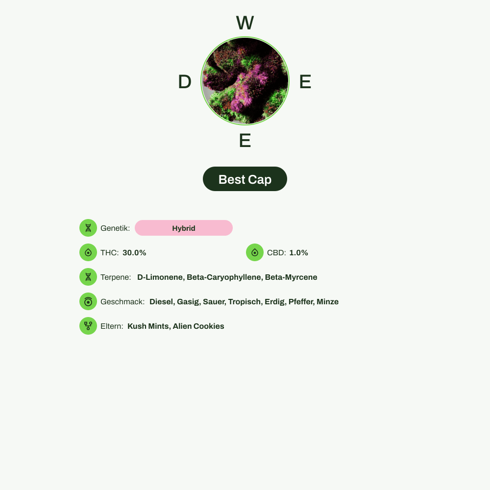 Infografik über THC-Gehalt, CBD-Gehalt, Terpene, Wirkungen, Geschmack von Best Cap