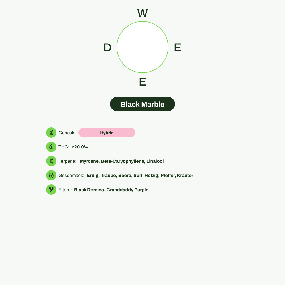 Infografik über THC-Gehalt, CBD-Gehalt, Terpene, Wirkungen, Geschmack von Black Marble