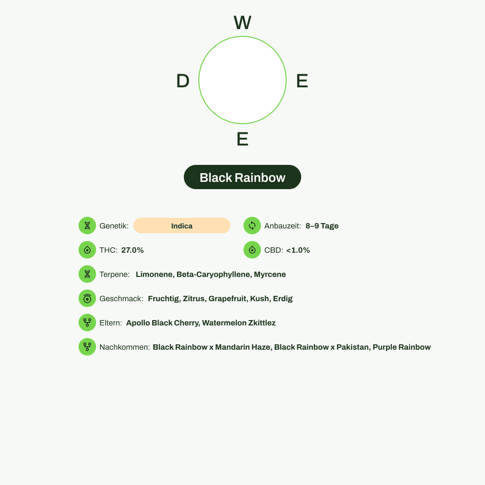 Infografik über THC-Gehalt, CBD-Gehalt, Terpene, Wirkungen, Geschmack von Black Rainbow