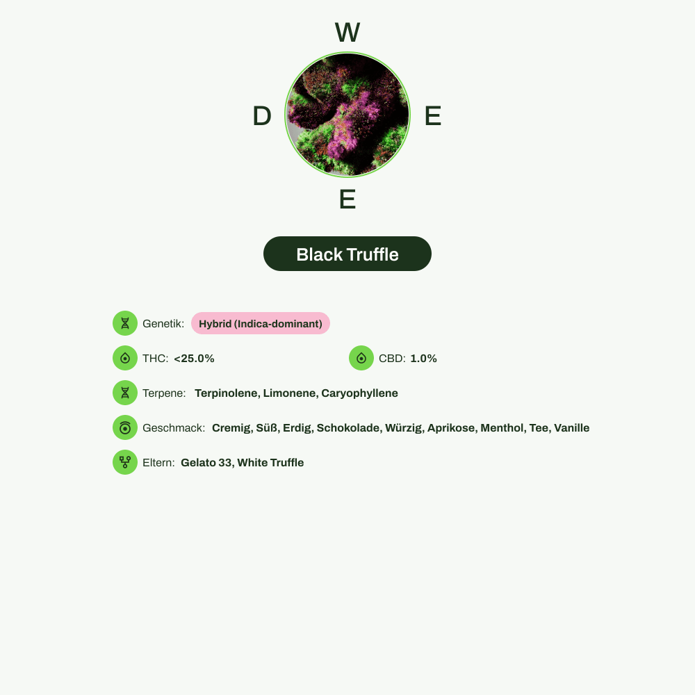 Infografik über THC-Gehalt, CBD-Gehalt, Terpene, Wirkungen, Geschmack von Black Truffle