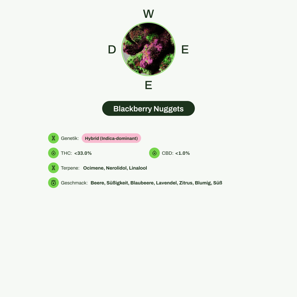 Infografik über THC-Gehalt, CBD-Gehalt, Terpene, Wirkungen, Geschmack von Blackberry Nuggets