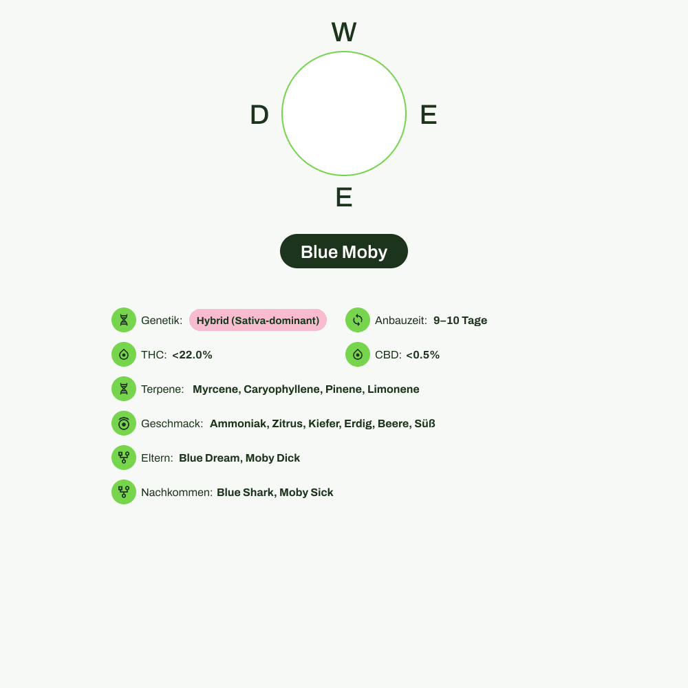 Infografik über THC-Gehalt, CBD-Gehalt, Terpene, Wirkungen, Geschmack von Blue Moby