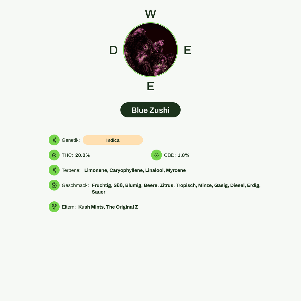 Infografik über THC-Gehalt, CBD-Gehalt, Terpene, Wirkungen, Geschmack von Blue Zushi