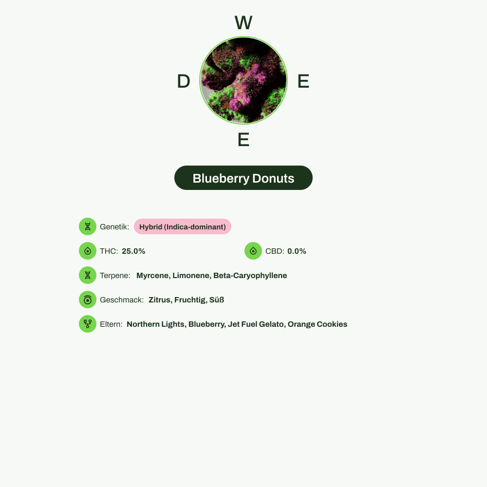Infografik über THC-Gehalt, CBD-Gehalt, Terpene, Wirkungen, Geschmack von Blueberry Donuts