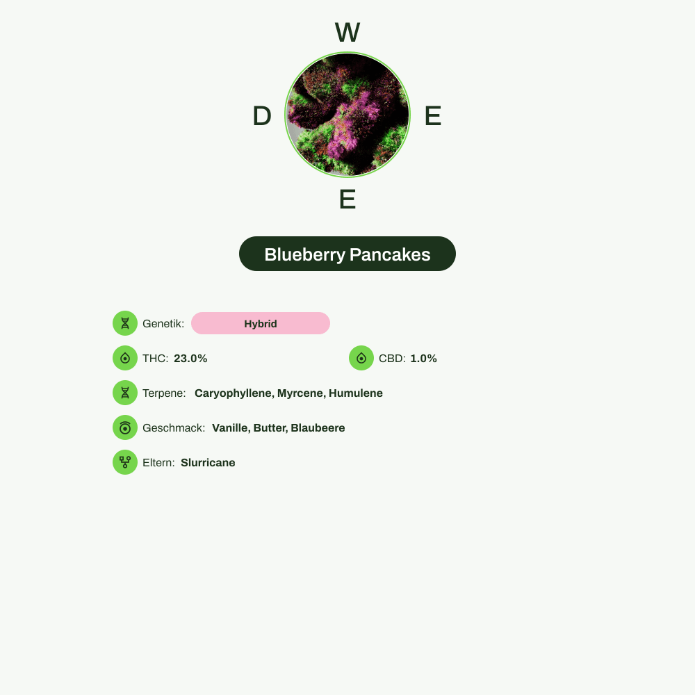 Infografik über THC-Gehalt, CBD-Gehalt, Terpene, Wirkungen, Geschmack von Blueberry Pancakes